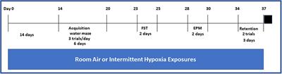 Cognitive Deficits Are Attenuated in Neuroglobin Overexpressing Mice Exposed to a Model of Obstructive Sleep Apnea